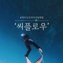 [제주] 제주도프리다이빙 ‘씨플로우’ 입문자 솔직 후기! 제주여행 체험 액티비티 추천