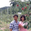 문하농장 이미지