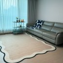 형제세탁 | 거실 확 달라지는 카페트 :: 방수 + 미끄럼방지 + 세탁까지 :: 쿠팡 대형카페트 내돈내산 솔직후기 !!