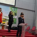 (주)드림셀 이미지
