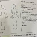 더킹스웨디시 이미지