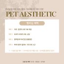 애견전문 미용 샵 이미지
