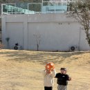 로니의 기차 이미지