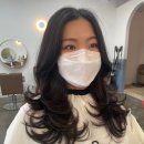 헤어율 이미지