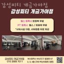 감성피티 이미지