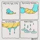 다시오지 않을 나의 여름에게