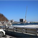 대게플러스 이미지