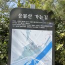 (정기) 3월 21일(화) 14:00 응봉산가는길~서울숲길 이미지