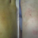 에버노블 이미지