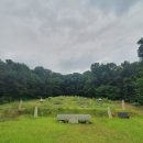 류사눌묘 이미지