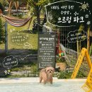 으르렁애견카페 | 대부도 애견 동반 수영장, 운동장 모두 가능한 애견 카페, '으르렁 파크' 내돈내산 솔직 후기 (Feat...