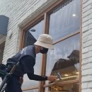 에코 크리너스 이미지