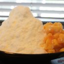 커피포레스트