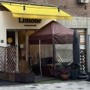 야탑 반려견 이미지