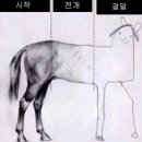 야옹네일 이미지