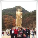 봉황중학교 이미지