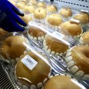 싸다마트 이미지