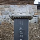 보은꽃 이미지