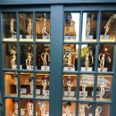 더 엘레펀트 이미지