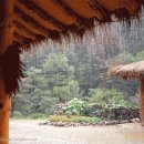 엄마품안 이미지