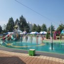 첨벙첨벙