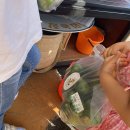 쉼터농장 | 쉼터체험농장, 서귀포감귤체험 으로 가족과 즐거운 하루