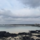 다현상사 이미지