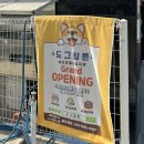 도그힐튼 이미지