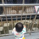 대구광역시선 아양공원 입구 | [아기랑 대구가볼만한곳] 달성공원