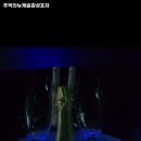 추억의뉴캐슬감성포차