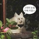 상상펜션에스엠 | [2208] 취중헛담
