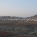 숲쟁이 이미지