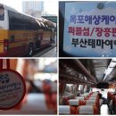 [07. 02 ~ 07. 03] 1박2일 전라남도 신안 &amp; 목포 &amp; 장흥 컬러풀 낭만여행 후기