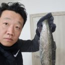 얼음골송어 이미지