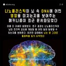 나노플라스틱, 뇌 DNA 구조 교란 메커니즘 확인 이미지