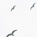 서수원홈플러스 이미지