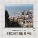 산타 크루즈 | 알리칸테 여행] 바르바라 성(Castell De Santa Bàrbera), 산타 크루즈 지역(Barrio santa cruz) 후기