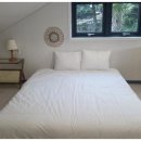 유수암숲 이미지