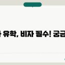 비자곰 이미지