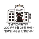 펫싸롱 - 도봉구 도봉로110길 39-9 | 펫싸롱