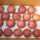 봉화산농장 이미지