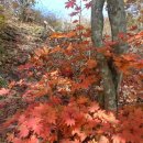 백두정비 이미지