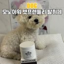 모노러브 | 강아지 냄새 잡는 고체 탈취제 모노아워 써봤어요