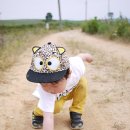 민형축사 네이버블로그