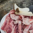 마산 합성동 맛집 흑돼지 오겹살 돼지특별시 가원