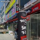 제주부리는돼지 이미지