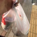 맘스터치 신정네거리역점 싸이버거랑 매콤 김떡만 후기!