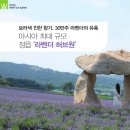 (주)보락 이미지