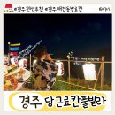 CU경주성건원룸점 | 경주 펜션 추천 애견동반 가능 오션뷰 당근료칸풀빌라