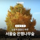 서울숲 숲속놀이터 화장실 | 노랗게 물들인 하루 서울숲 은행나무숲 (서울가볼만한곳, 서울숲 은행나무길, 휠체어가능)